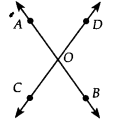 NCERT Exemplar Class 9 Maths Chapter 6 Lines And Angles 31