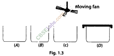 NCERT Exemplar Class 9 Science Chapter 1 Matter In Our Surroundings Img 4