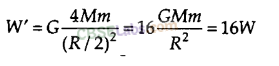 NCERT Exemplar Class 9 Science Chapter 10 Gravitation Img 5