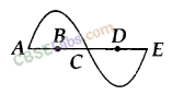NCERT-Exemplar-Class-9-Science-Chapter-12-Sound-1