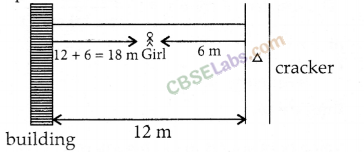 NCERT Exemplar Class 9 Science Chapter 12 Sound Img 4
