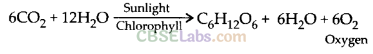 NCERT-Exemplar-Class-9-Science-Chapter-14-Natural-Resources-1