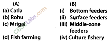 NCERT-Exemplar-Class-9-Science-Chapter-15-Improvement-in-Food-Resources-1
