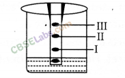 NCERT Exemplar Class 9 Science Chapter 2 Is Matter Around Us Pure Img 9