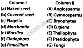 NCERT-Exemplar-Class-9-Science-Chapter-7-Diversity-in-Living-Organisms-1