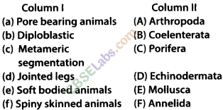 NCERT Exemplar Class 9 Science Chapter 7 Diversity in Living Organisms Img 2