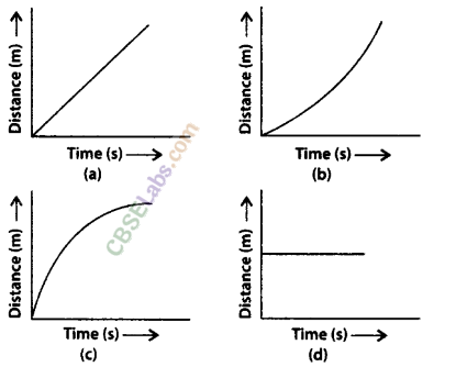 NCERT Exemplar Class 9 Science Chapter 8 Motion Img 4