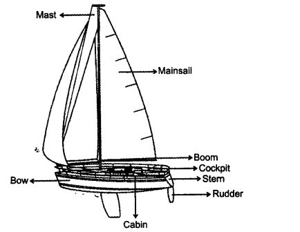 NCERT Solutions For Class 11 English Hornbill We're Not Afraid to Die...if We Can All Be Together Q4