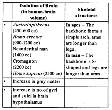 NCERT-Solutions-For-Class-12-Biology-Evolution-Q4