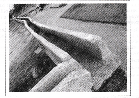 NCERT-Solutions-For-Class-12-History-Chapter-7-An-Imperial-Capital-Vijayanagara-Q2