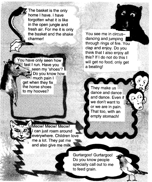 NCERT Solutions For Class 4 EVS Chapter 3 A Day With Nandu Page 29 Q1