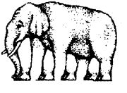 NCERT Solutions For Class 4 EVS Chapter 3 A Day With Nandu Page 30 Q3