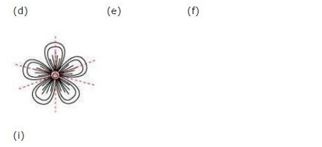 NCERT Solutions For Class 6 Maths Chapter 13 Symmetry Ex 13.1 Q10