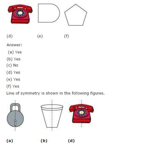 NCERT Solutions For Class 6 Maths Chapter 13 Symmetry Ex 13.1 Q2