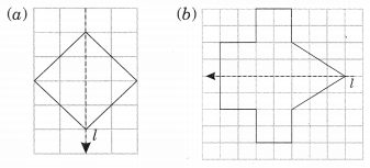 NCERT Solutions For Class 6 Maths Chapter 13 Symmetry