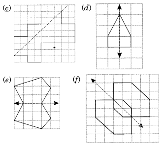 NCERT Solutions For Class 6 Maths Chapter 13 Symmetry