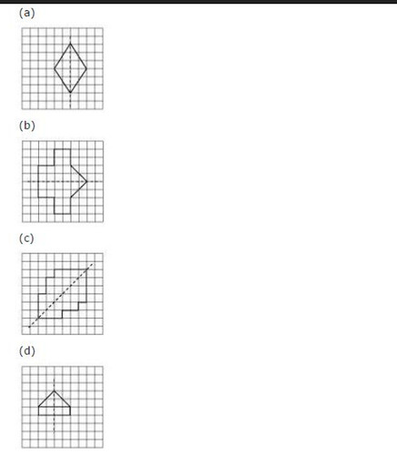 NCERT Solutions For Class 6 Maths Chapter 13 Symmetry Ex 13.1 Q5