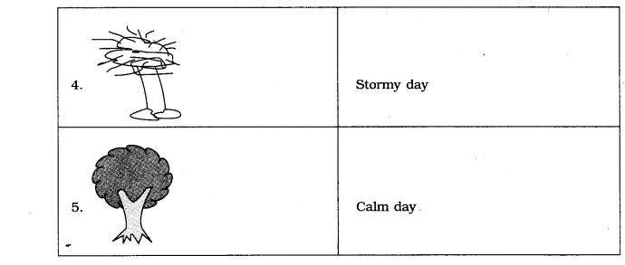 NCERT Solutions For Class 7 Geography Social Science Chapter 4 Air Q5.5