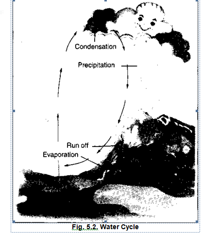 NCERT Solutions For Class 7 Geography Social Science Chapter 5 Water SAQ Q6