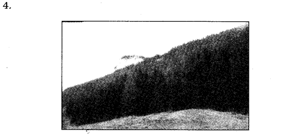 NCERT Solutions For Class 7 Geography Social Science Chapter 6 Natural Vegetation and Wildlife Q5.3