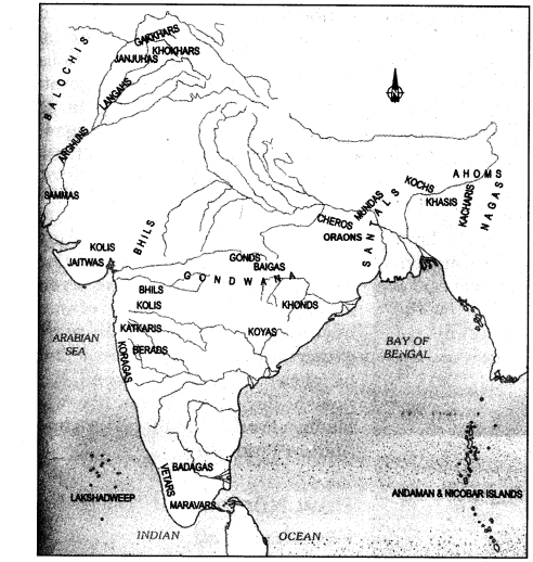NCERT-Solutions-For-Class-7-History-Social-Science-Chapter-7-Tribes-Nomads-And-Settled-Communities-Q10