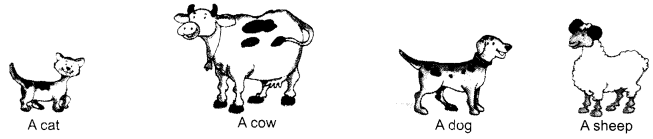 NCERT Solutions for Class 1 English Chapter 1 A Happy Child Lets Draw Q8