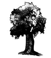 NCERT-Solutions-for-Class-1-English-Chapter-11-If-I-Were-an-Apple-Reading-is-Fun-Q1