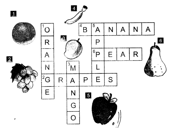 NCERT Solutions for Class 1 English Chapter 11 If I Were an Apple Word Fun Q1