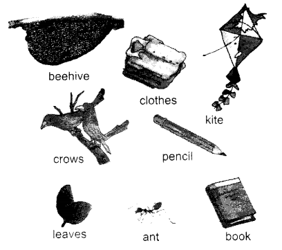 NCERT-Solutions-for-Class-1-English-Chapter-12-Our-Tree-Lets-Share-Q1