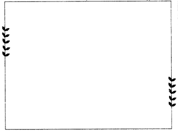 NCERT Solutions for Class 1 English Chapter 13 Murali's Mango Tree Q2