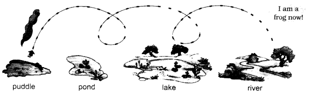 NCERT-Solutions-for-Class-1-English-Chapter-4-The-Bubble-the-Straw-and-the-Shoe-Lets-Draw-Q1