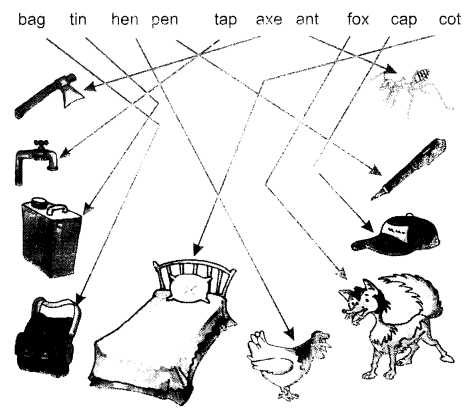 NCERT Solutions for Class 1 English Chapter 5 One Little Kitten Look and Read Q1