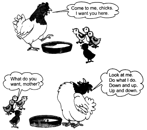 NCERT Solutions for Class 1 English Chapter 6 Lalu and Peelu Lets Act Q1