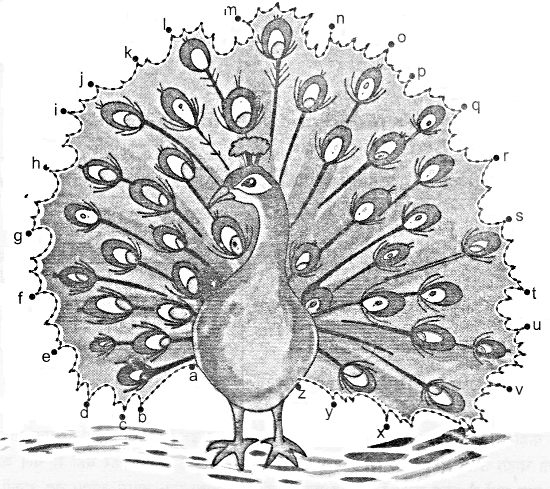 NCERT-Solutions-for-Class-1-English-Chapter-7-Once-I-Saw-a-Little-Bird-Lets-Do-Q1