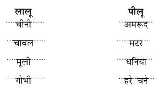 NCERT-Solutions-for-Class-1-Hindi-Chapter-16-लालू-और-पीलू-Q2