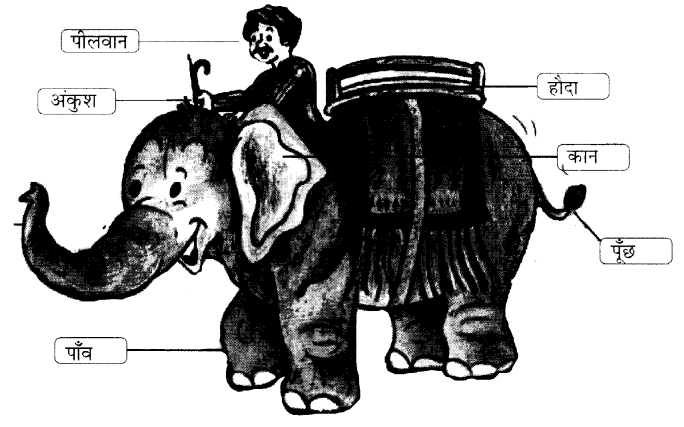 NCERT-Solutions-for-Class-1-Hindi-Chapter-22-हाथी-चल्लम-चल्लम-Q1