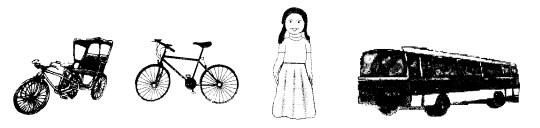 NCERT-Solutions-for-Class-1-Hindi-Chapter-4-पत्ते-ही-पत्ते-Q1