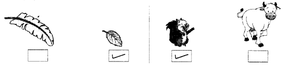 NCERT Solutions for Class 1 Maths Chapter 1 Shapes and Space Page 3 Q2