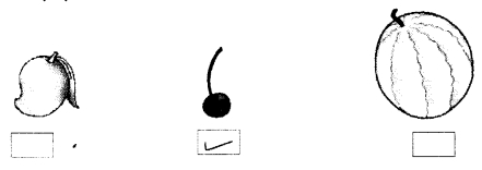 NCERT Solutions for Class 1 Maths Chapter 1 Shapes and Space Page 4 Q3