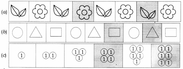 NCERT Solutions for Class 1 Maths Chapter 10 Patterns Page 113 Q1