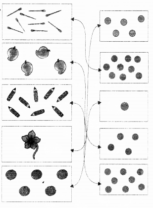 NCERT Solutions for Class 1 Maths Chapter 2 Numbers from One to Nine Page 25 Q2