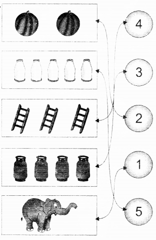 NCERT Solutions for Class 1 Maths Chapter 2 Numbers from One to Nine Page 25 Q3