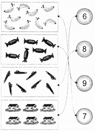 NCERT Solutions for Class 1 Maths Chapter 2 Numbers from One to Nine Page 25 Q4