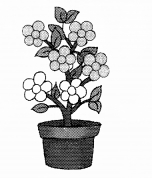 NCERT Solutions for Class 1 Maths Chapter 2 Numbers from One to Nine Page 25 Q7.1