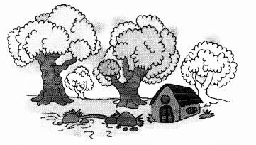 NCERT Solutions for Class 1 Maths Chapter 2 Numbers from One to Nine Page 25 Q7.2