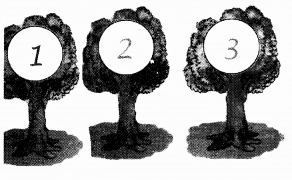 NCERT Solutions for Class 1 Maths Chapter 2 Numbers from One to Nine Page 43 Q8