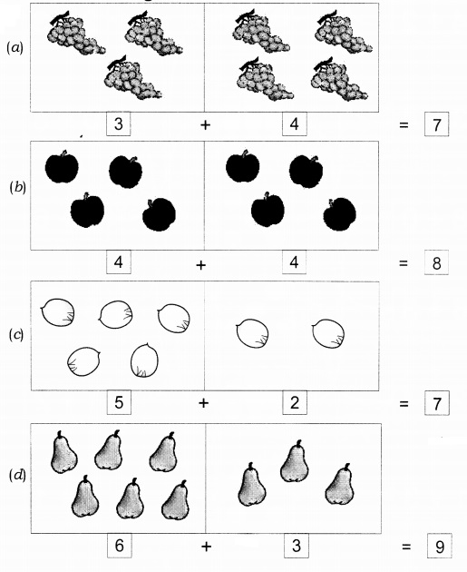 NCERT Solutions for Class 1 Maths Chapter 3 Addition Page 55 Q3