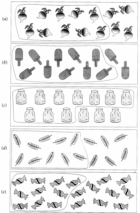 NCERT Solutions for Class 1 Maths Chapter 5 Numbers from Ten to Twenty Page 65 Q1.1