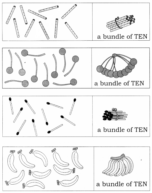 NCERT-Solutions-for-Class-1-Maths-Chapter-5-Numbers-from-Ten-to-Twenty-Page-65-Q1