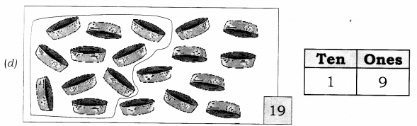 NCERT Solutions for Class 1 Maths Chapter 5 Numbers from Ten to Twenty Page 65 Q2.1